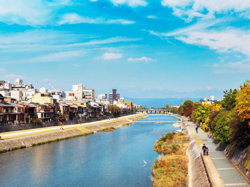 京都観光の経済効果に関する調査事業