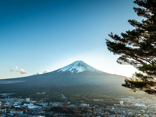 令和4年度富士箱根伊豆国立公園富士山麓地域適正利用推進体制検討業務